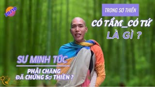 2010 Sau Ngài Minh TuệSư Minh Túc Là Một Viên Ngọc Sáng Có Phải Chăng Sư Đã Chứng Được Sơ Thiền [upl. by Atrim351]