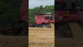 Harvest time [upl. by Mintun]