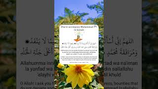 Dua to accompany Muhammad ﷺ in Jannah [upl. by Feeney741]