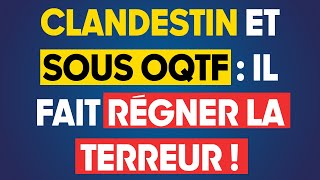 Un clandestin sous OQTF fait régner la terreur à Marseille  Stéphane Ravier [upl. by Cheryl]