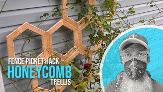 Honeycomb Trellis  Fence Picket Hack [upl. by Ettelocin]