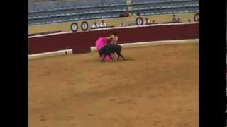 Bullfighting in Spain [upl. by Brnaba20]