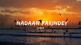 O Nadaan Parindey Lyrics  Rockstar  AR RAHMAN  Mohit Chauhan  AKD Galaxy [upl. by Germana375]