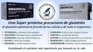 IMMUNOCAL Y BENEFICIOS DE ELEVAR EL GLUTATION 2020 [upl. by Georg]