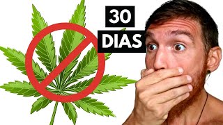 Dejé La Marihuana por 30 Días y Esto Pasó [upl. by Notsehc]