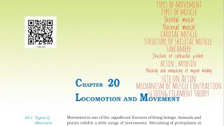 Locomotion and movement NCERT Part1 For NEET [upl. by Noorah]