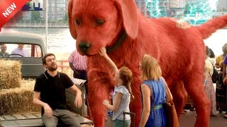 The Big Red Dog Explain In Hindi  Explain In Hindi rohitnagar 🐕🐶 [upl. by Avis]