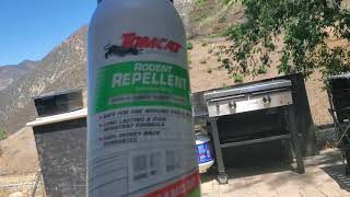 Product Review Tomcat Rodent Repellent [upl. by Wayne]