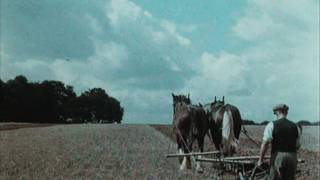 English Harvest 1938 [upl. by Adolfo]