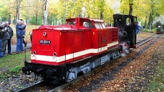 Fahrzeugparade  Internationales Feldbahntreffen Chemnitz [upl. by Everick]