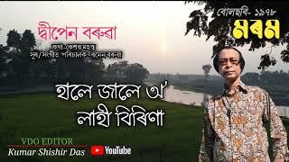 হালে জালে অ লাহী বিৰিণা ৷৷ hale jale o lahi birina৷৷ singerDipen Baruah ৷৷ film Morom 78 [upl. by Tabbie]