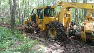 Tigercat 602 Grapple Skidder Dual Arch Push Over a Stump [upl. by Bunde]