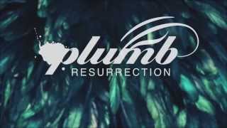 Plumb  Resurrection Official Lyric Tile Video [upl. by Nelo]