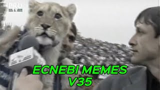 ECNEBI MEMES V35 [upl. by Heall998]