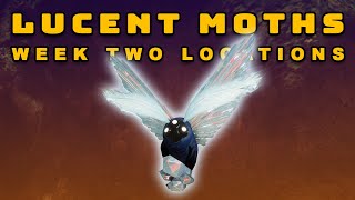 Destiny 2 The Witch Queen  All Lucent Moth Locations Week Two  Lepidopterist Triumph Guide [upl. by Ilysa]