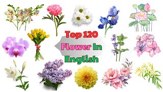 Top 120 Flower Names In English  English Vocabulary [upl. by Rehteh]