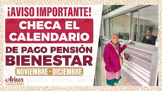 ¡ULTIMA HORA calendario de pago de la pensión bienestar de nov  dic 2023 adulto mayor [upl. by Ainegul]