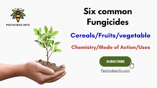 Insecticide Classification and Mode of Action with Mike Scharf [upl. by Socem]