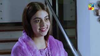 Bebaak  Episode 41  Best Scene 08  HUM TV [upl. by Malvia]