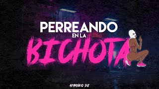 PERREANDO EN LA BICHOTA REMIX ⚡ ANIASKO [upl. by Geddes]