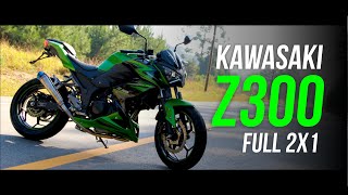 Top speed e super ronco da Kawasaki Z300 com o Full 2x1 Jeskap [upl. by Moreno344]