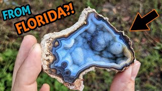 Unveiling The Hidden Treasures Inside Florida Agate Geodes [upl. by Collar504]