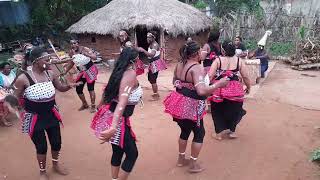 Wungara dancers  Taita songs [upl. by Lenroc]