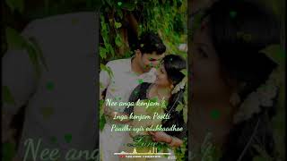 Priyamana Thozhi 🎶💕Maan kuttiye 🎶💕love lyric songs 🎶💕WhatsApp status video 🎶💕 [upl. by Asoramla429]