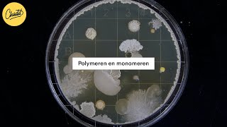 Polymeren en monomeren  Mr Chadd Academy [upl. by Kerek]