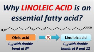 Why Linoleic acid is an essential fatty acid [upl. by Baras]