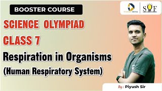 Science Olympiad Class 7  Respiration in Organisms  Human Respiratory System  SOF NSO 2024 [upl. by Rtoip]