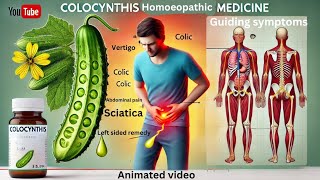 Colocynthis  Materia Medica lecture  Homoeopathy Animated Edition MateriaMedicaSpotlight [upl. by Demakis]