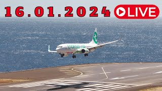 LIVE WINDY DAY From Madeira Island Airport 16012024 [upl. by Dirrej]