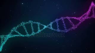 Double Helix Structure of DNA [upl. by Craggie465]