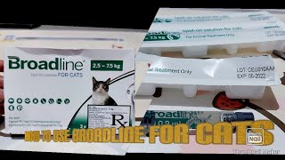 Flea Treatment for Cats How to Apply Revolution for Cats [upl. by Nairoc]