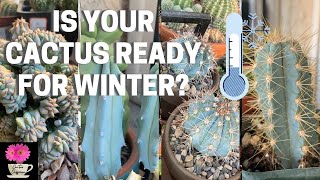 Is Your Cactus Ready for Winter  Cactus and Succulents winter dormancy [upl. by Housen72]