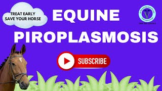 Unlocking Equine Piroplasmosis Etiology Diagnosis and Treatment Explained I GNP Sir [upl. by Liag]