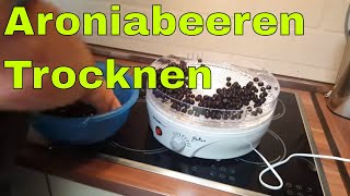 ✅✅ Frische Aroniabeeren trocknen  Wie trockne ich Aroniabeeren ✅✅ [upl. by Nitsud333]