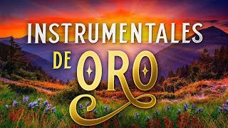 Musica Instrumental de Oro Para Escuchar Grandes Hits Instrumentales [upl. by Yraunaj]