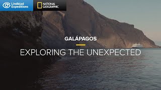 Galápagos Exploring the Unexpected  Lindblad ExpeditionsNational Geographic [upl. by Jayme]