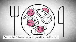 Antibiotikaresistens och livsmedel  lång med tal [upl. by Sacksen]