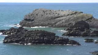 HARTLAND QUAY DEVON JULY 2010 PART ONE [upl. by Fuchs]