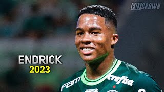 Endrick 2023 ● Palmeiras ► Crazy Skills amp Goals  HD [upl. by Gerlac551]