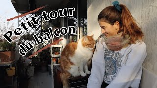 Mon balcon plein sud en plein hiver  vlogplante [upl. by Darreg]