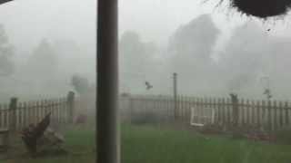 MUST SEE VIDEO Possible Tornado Straightline Winds or Microburst Dothan Alabama Weather [upl. by Keryt]