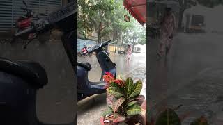 ಮುಂಗಾರು ಮಳೆ 🌧️ trending mansoongoldencoorgmadikeri statuslive love yogarajbhatarrahman [upl. by Bakeman]