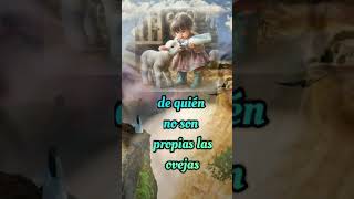 Jesús díjo más el asalaríado y que no es el pastor Ve venír al lobo y deja las ovejas y huye [upl. by Yee]