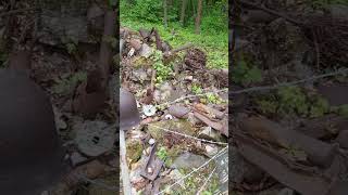 WWII Siegfried Line Museum Bad Bergzabern 28th of April 2024 [upl. by Ilrebmik]