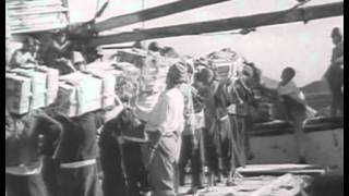 world war 2 full documentary [upl. by Seel723]