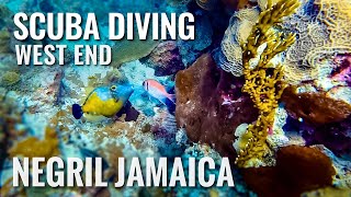 Scuba Diving NEGRIL JAMAICA West End 4K [upl. by Tabb]